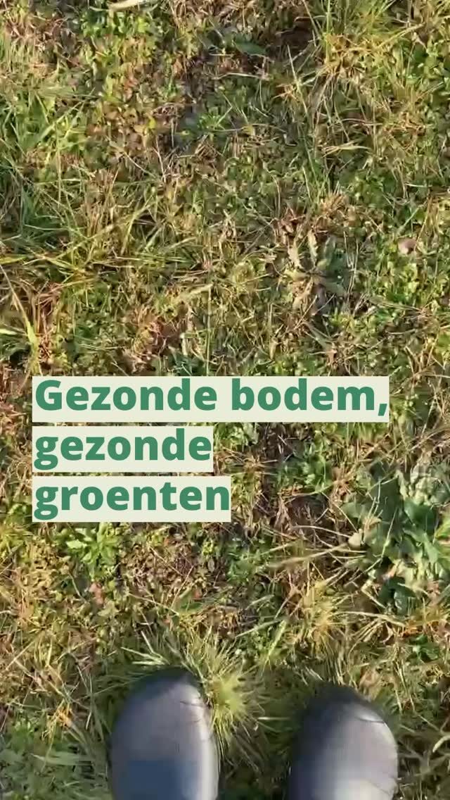 Instagram post from boerderij_rauwekost. This post is in position 6.